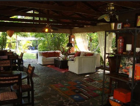 atenas B&B Orchid Tree