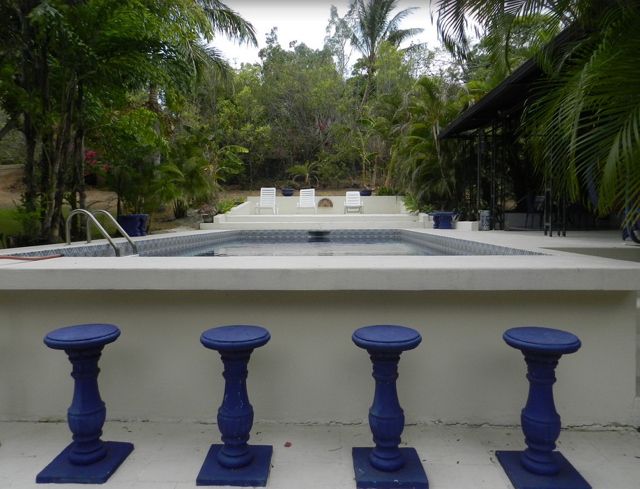 Pool View B&B Orchid Tree