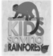 Kids Saving the Rain forest