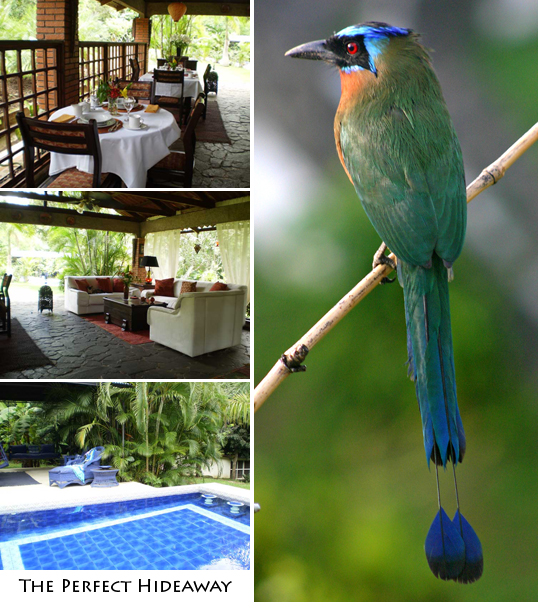 orchid tree bed and breakfast