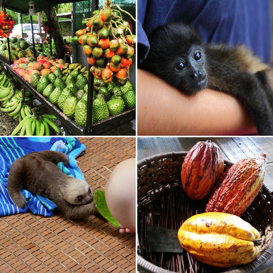 Costa Rica Adventure