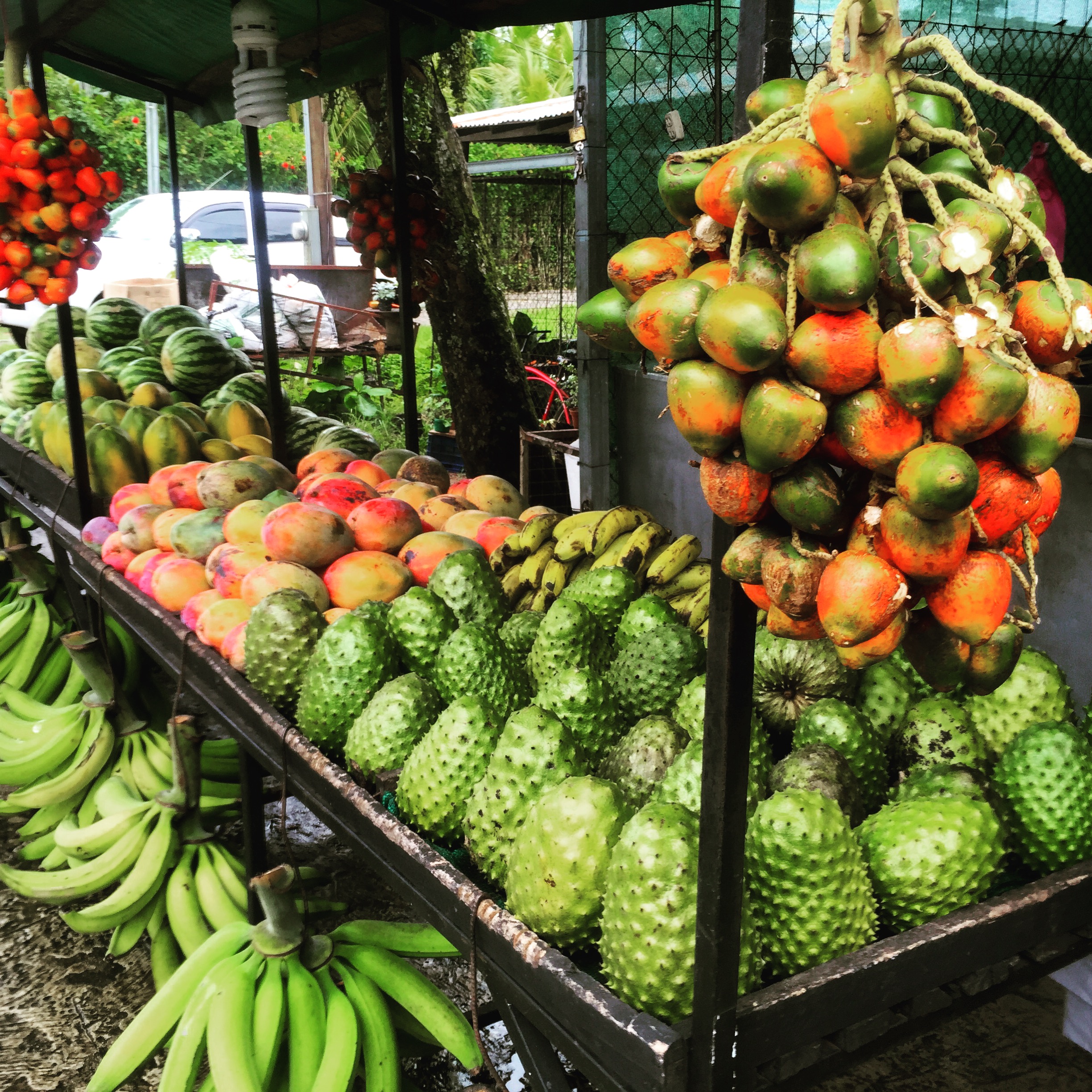 Farmers Markets in Costa Rica