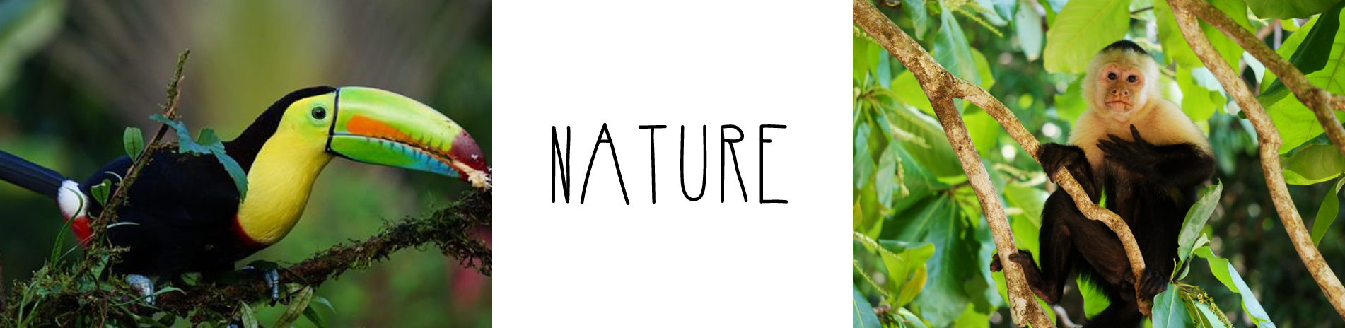 Costa Rica Nature 2