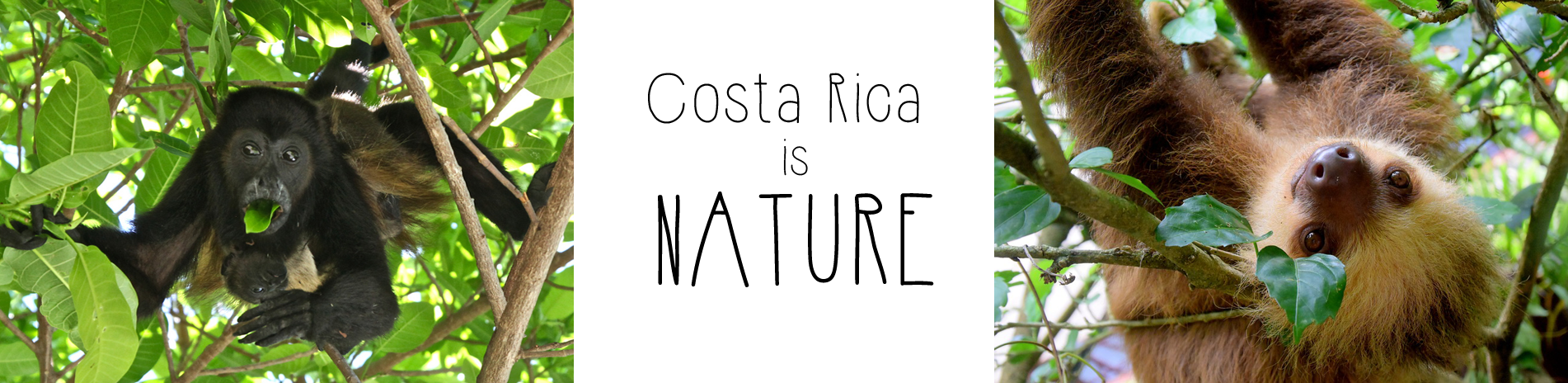 Costa Rica Nature 1