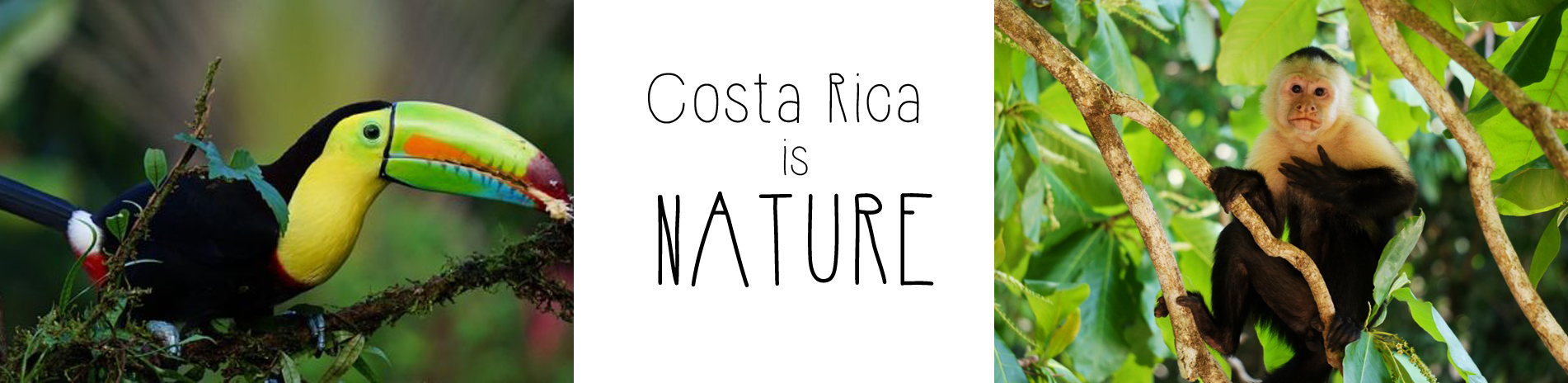 Costa Rica Nature 2