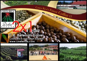 Coffee Tour Deals Costa Rica