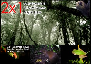 2x1 Night Hike Costa Rica