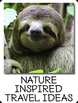 Costa Rica Nature Packages