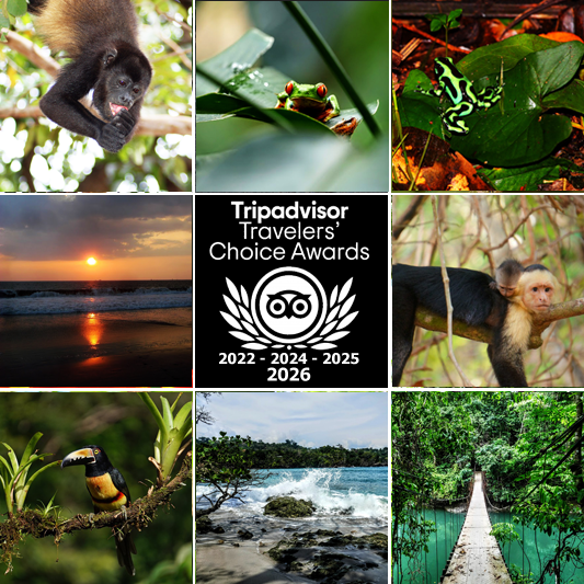 Travelers Choice Awards 2026 CR Referrals Travel