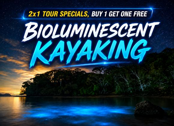 Costa Rica Free Kayaking
