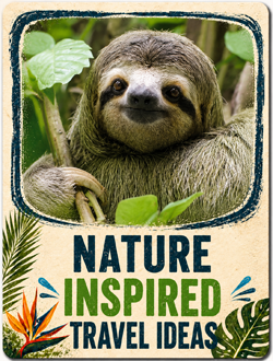Nature Travel Costa Rica